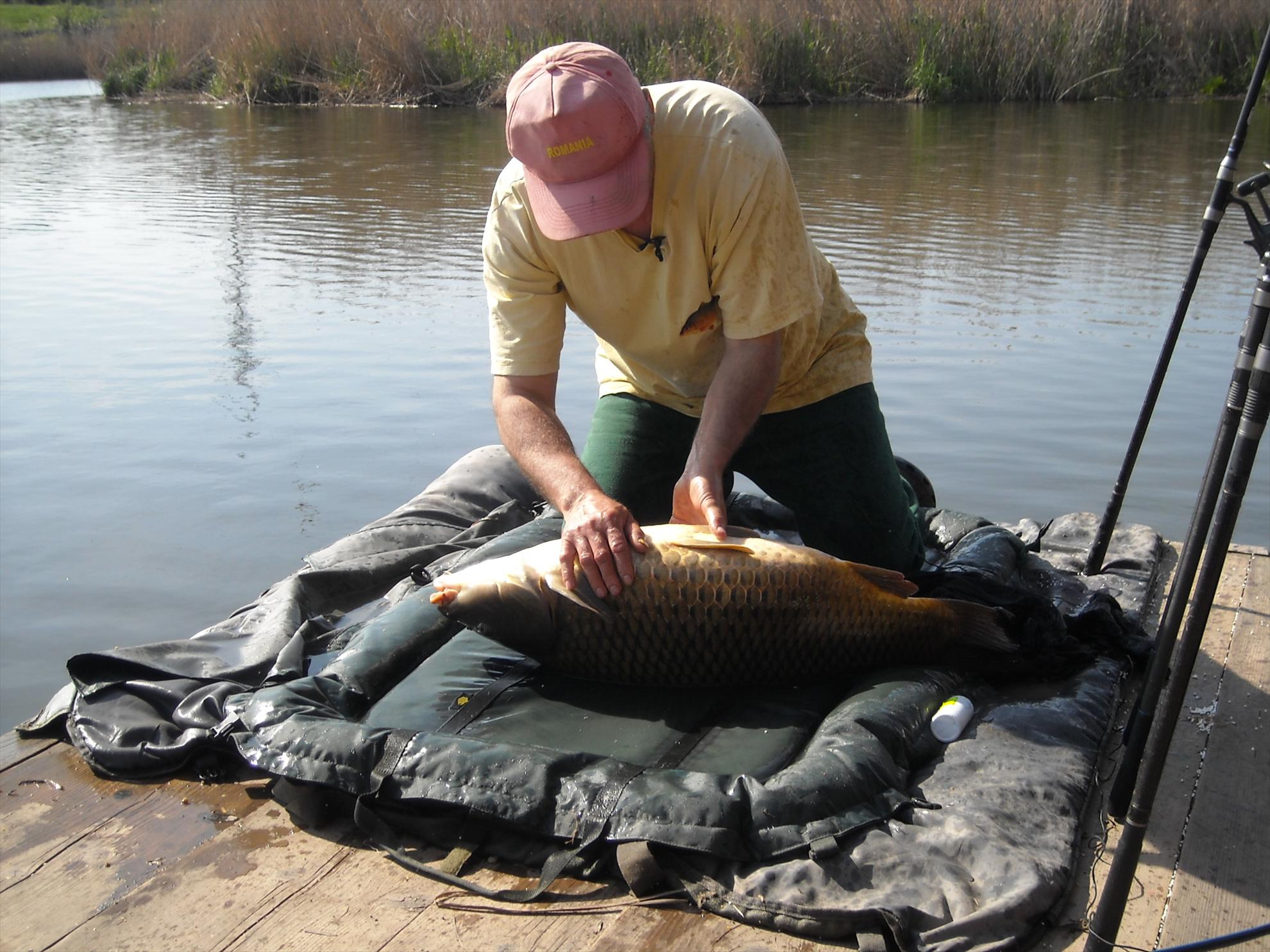 Crapmania - 2010 - crapmania-2010-137.jpg